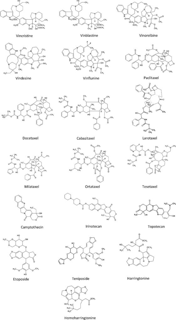 Medicinal Plants Commonly Used Against Cancer and Human Immunodeficiency Virus in Malaysia