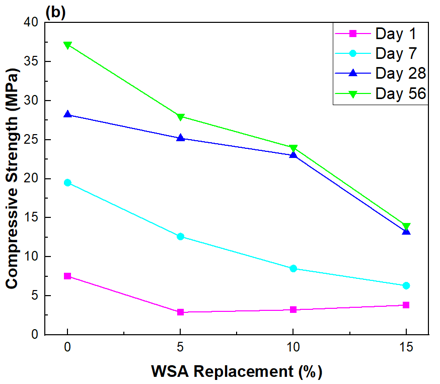 Figure 2: Compressive Strength of Mortar at Different Curing Ages (a): PAA as Cement Replacement (Khatib et al., 2025a) and (b): WSA as Cement Replacement (Shebli et al., 2023) (b)