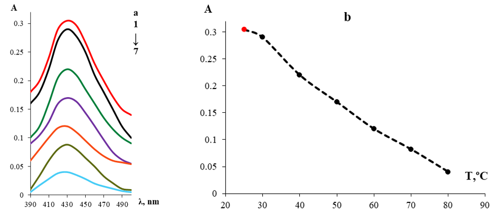 Figure 3. a- Spectral Survey of Complex at Different Temperature (25-80) oC.b- The Relation Between the Absorption of Complex and Different Temperature.[L] = 6.29465×10-4 mol.l-1, [Cu2+]= 6.29465×10-5 mol.l-1, λmax= 430 nm, pH=7, VBritton=2 ml.