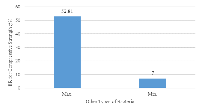 Figure 4. Variation in compressive strength achieved by various bacterial strains during 7-day curing period.