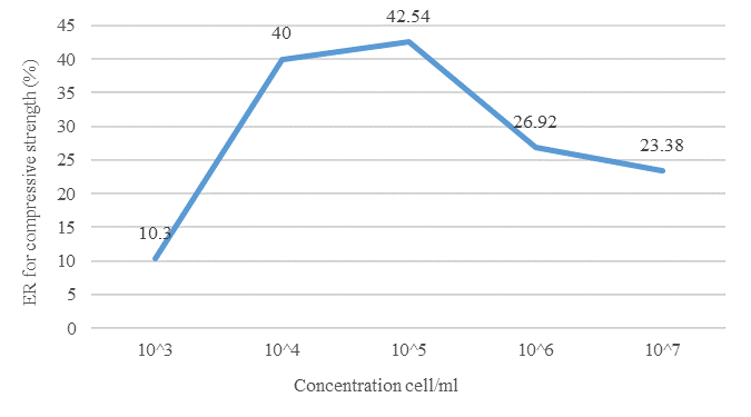 Figure 7. Percentage enhancement of Bacteria concentrations on compressive strength at 28-Days