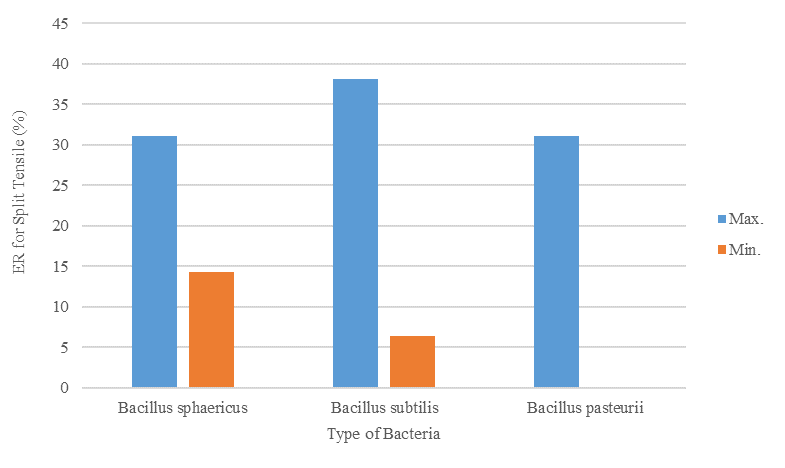 Figure 8. Variation in Split Tensile Increase with Different Bacterial Strains after 7-Day Curing Period.