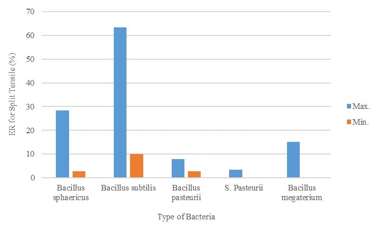 Figure 9. Variation in Split Tensile Increase with Different Bacterial Strains after 28-Day Curing Period.