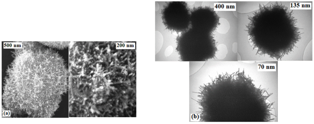 Figure 4. Images of Hedgehog -Shaped Nanostructure, (a) SEM, (b) TEM