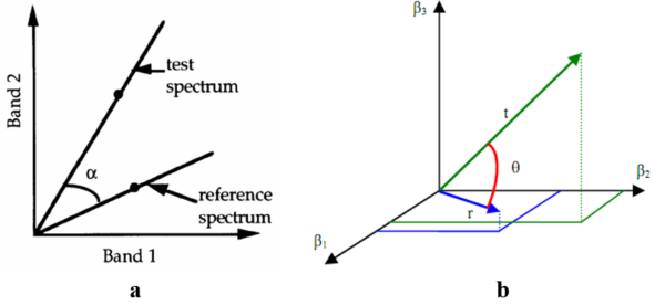 Figure 12. SAM Between Two Spectra in the Plane (a) and Three-Dimensional Space (b)