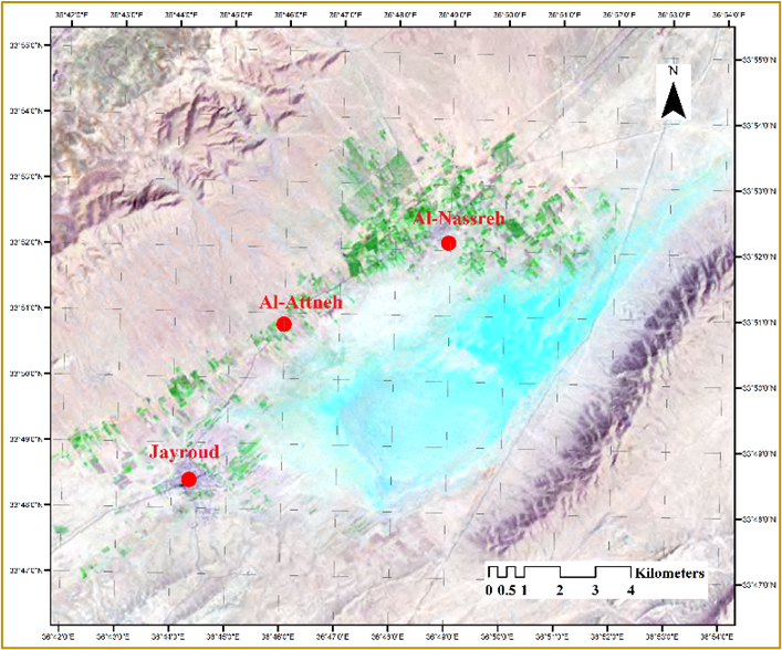 Figure 4. TM Image of the Study Area