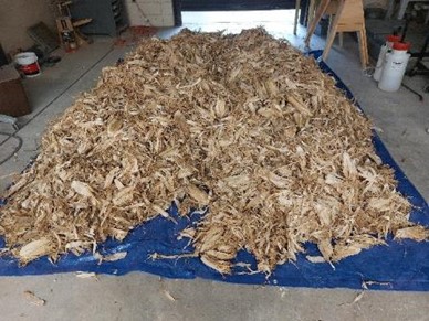 Figure 1. Collected Cornhusk Residue from Corn Field&nbsp;