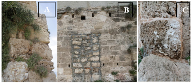 Figure 2. Images Taken at Site in Tyre City Showing Structural and Physical Changes (Problems). (A): Spread of Plants; (B): Appearance of Cements Sheets on Main Elevations; (C): Masonry and Stone Problems (Appearance of Black Colors, Bacteria, Holes…) (Source: Author)