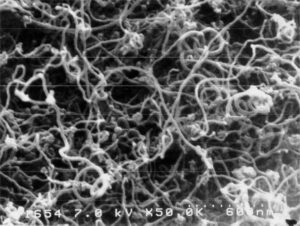 Figure 1. Scanning Electron Microscope Image of Graphite Nano-Fibres (Zafar & Amit, 2008)