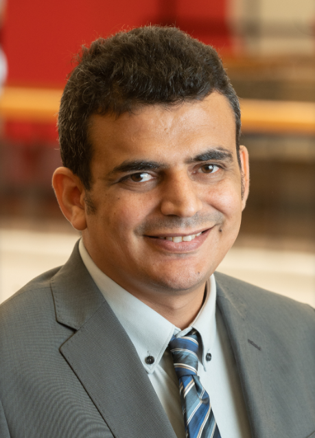 Dr. Alaaeldin Elsisi