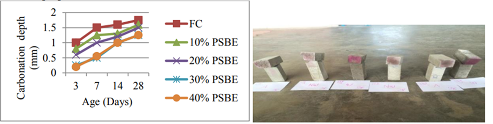 Carbonation Penetration Depth in Foamed Concrete